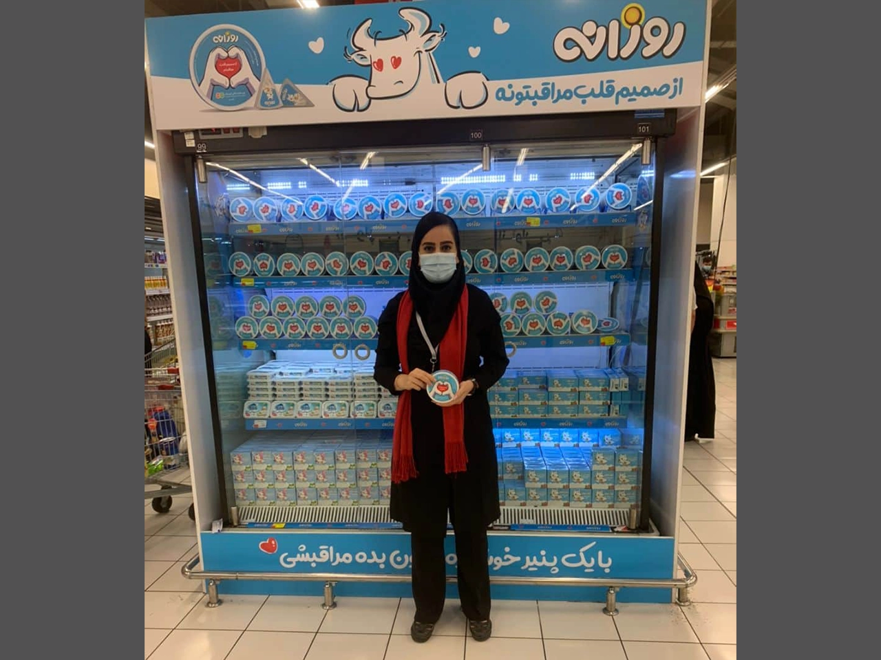 The Laughing Cow Sampling & Promotion